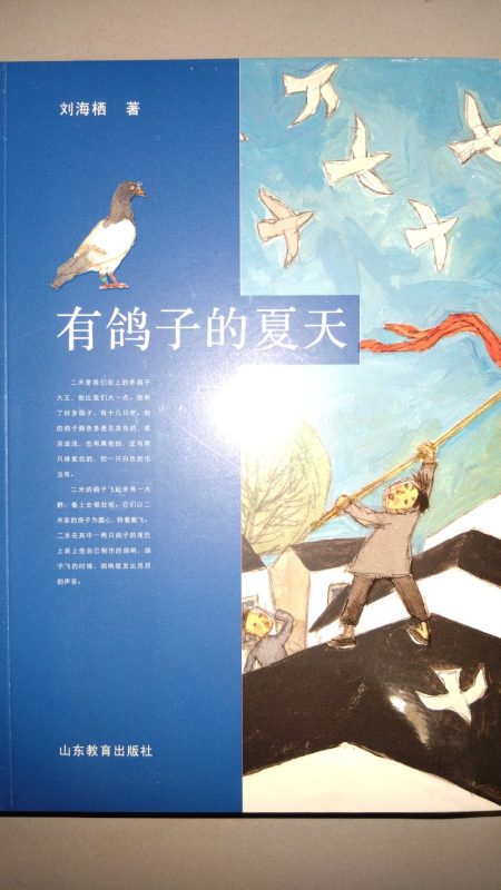 有鸽子的夏天^ (修读华文一语的学生)