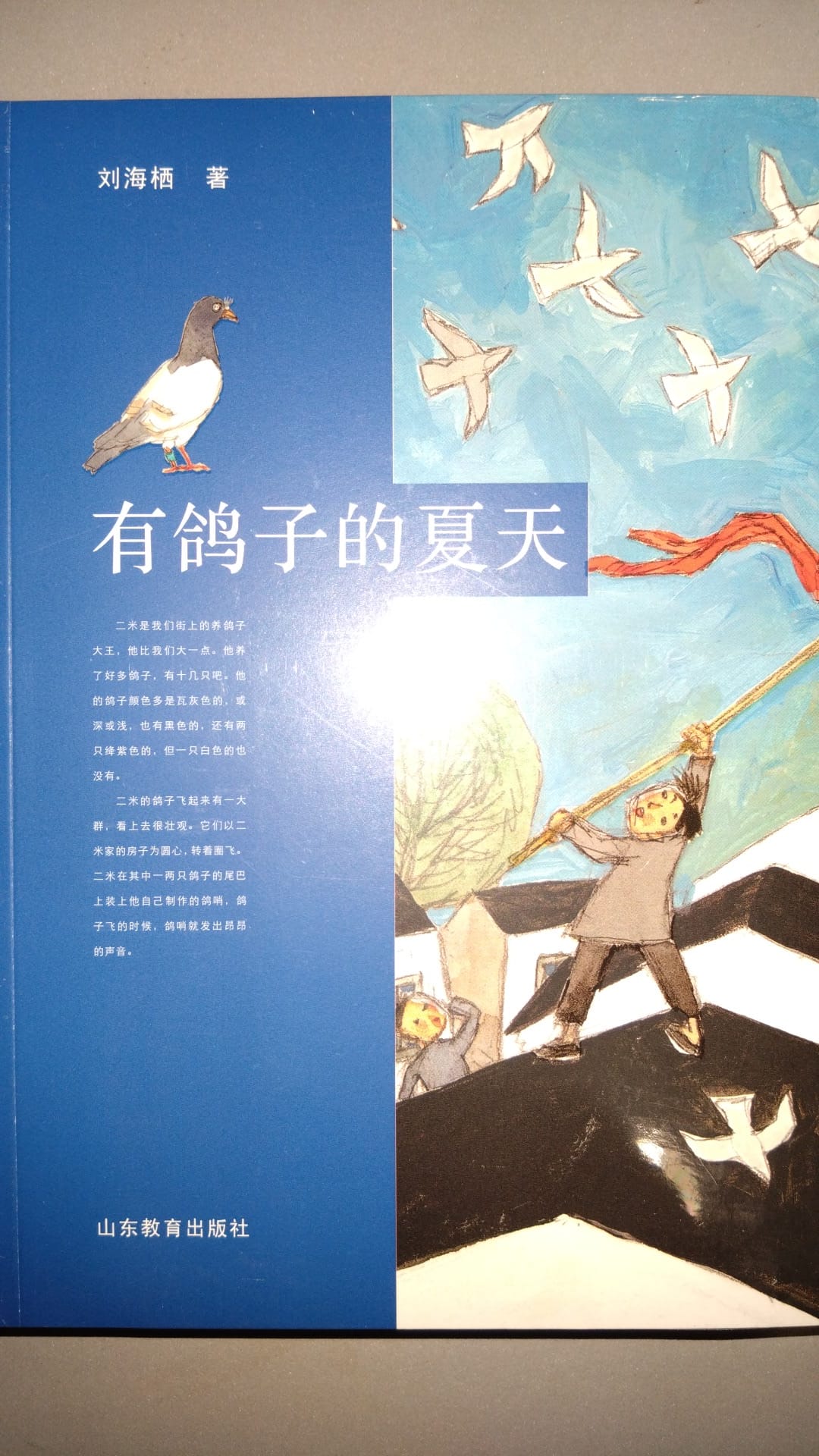 有鸽子的夏天^ (修读华文一语的学生)